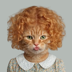 CURLY