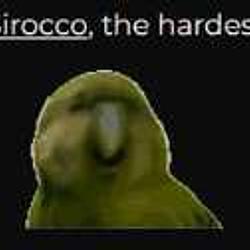 Sirocco