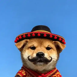 SI