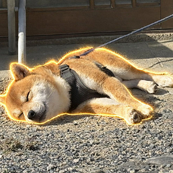 フクちゃん logo