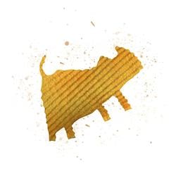 CHEAPCAT / SOL