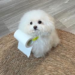 Tofu / SOL