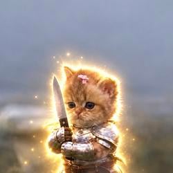 Knifecat
