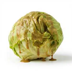Lettuce / SOL