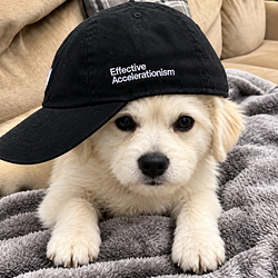 E/DOG