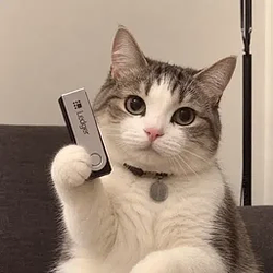 LCAT