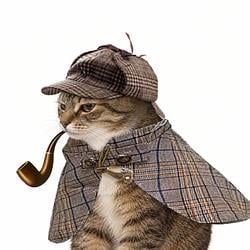 pipecat