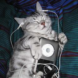 iCAT