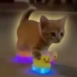 QUAKCAT / SOL