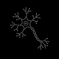neuron / WETH