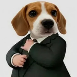 Financial Professinu