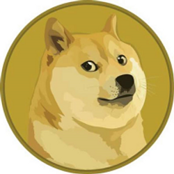 S-DOGE