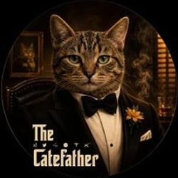 CATEFATHER / SOL