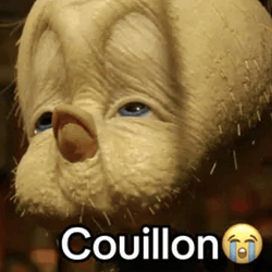 couillon / SOL