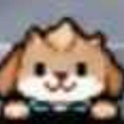robinbunny