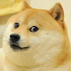Dogecoin logo