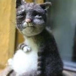 sadcat