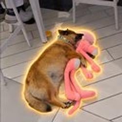 KARAMEL / SOL