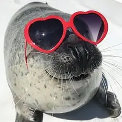 Seal