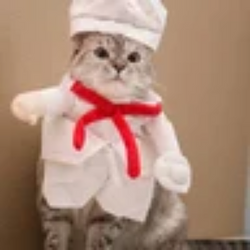ChefCat