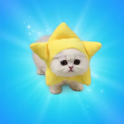 tgcat / SOL