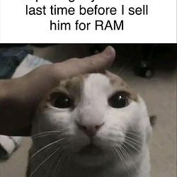 RAMCAT