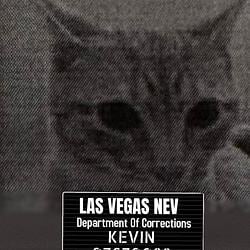 Kevin / SOL