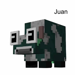 Juan