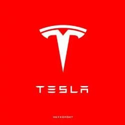 Tesla logo