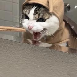 Hcat