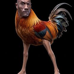 COCK / SOL