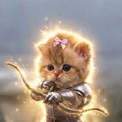 CATWIFBOW