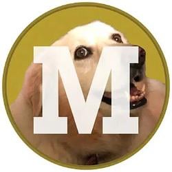 MAGGIE / SOL