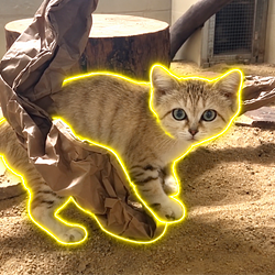NALA