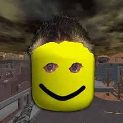 SHIDBOT / SOL