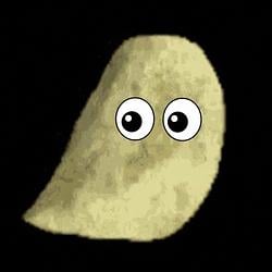POTATO