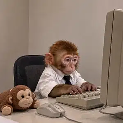 MONKE / SPYx