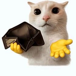 EMTYCAT / SOL
