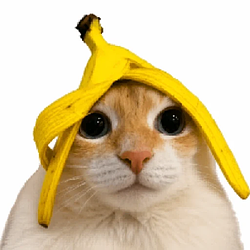Bananacat / SOL