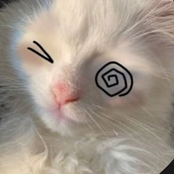 Smol / SOL