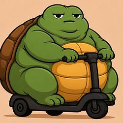 MRTURTLE / SOL