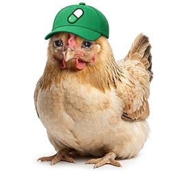 PUMPCHICK