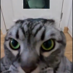 TAI LUNG