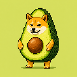 AVOCADOG / SOL