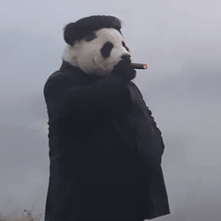 kim