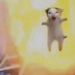 ExlodCat