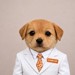 Startpup