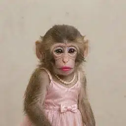 APEWIF / SOL