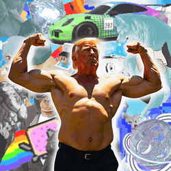 TRUMP / SOL