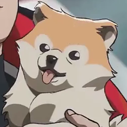 DOONGI